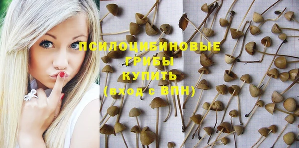 MDMA Premium VHQ Краснослободск