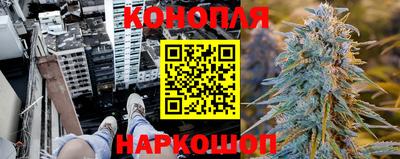 прущие грибы Балаково