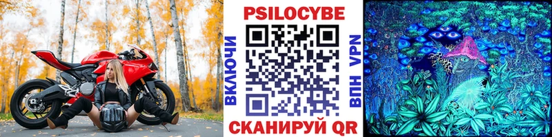 Галлюциногенные грибы прущие грибы  купить закладку  Гусь-Хрустальный 