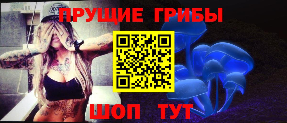 Псилоцибиновые грибы MAGIC MUSHROOMS  Вход с VPN  Гусь-Хрустальный 