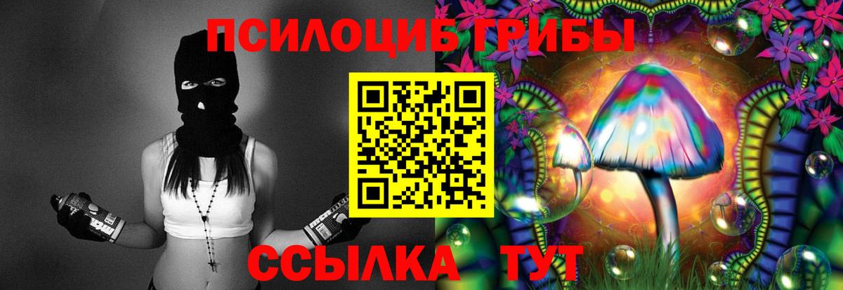 Псилоцибиновые грибы Psilocybe Гусь-Хрустальный