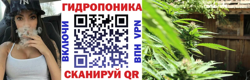 Бошки марихуана OG Kush  цена   Гусь-Хрустальный 
